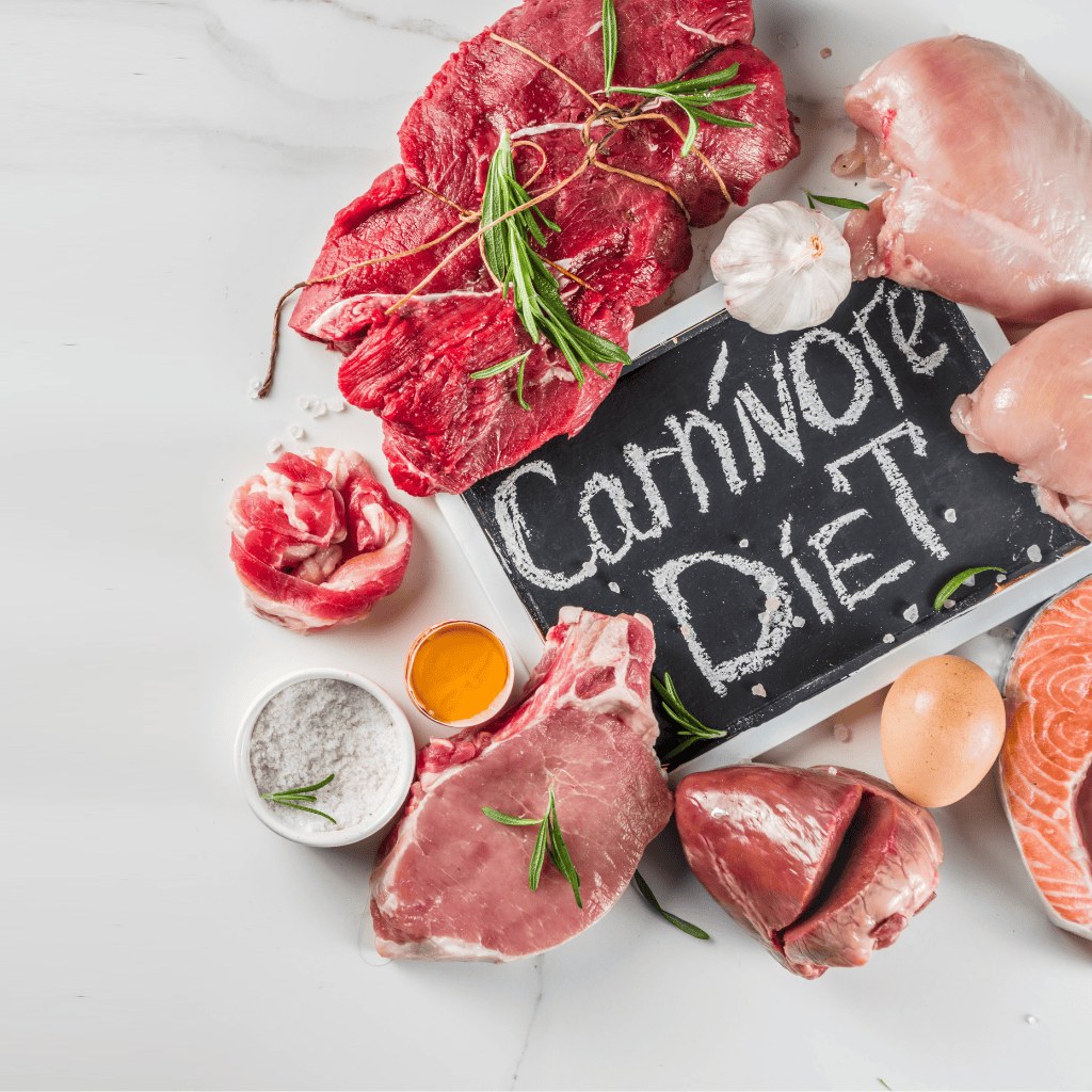 carnivore diet
